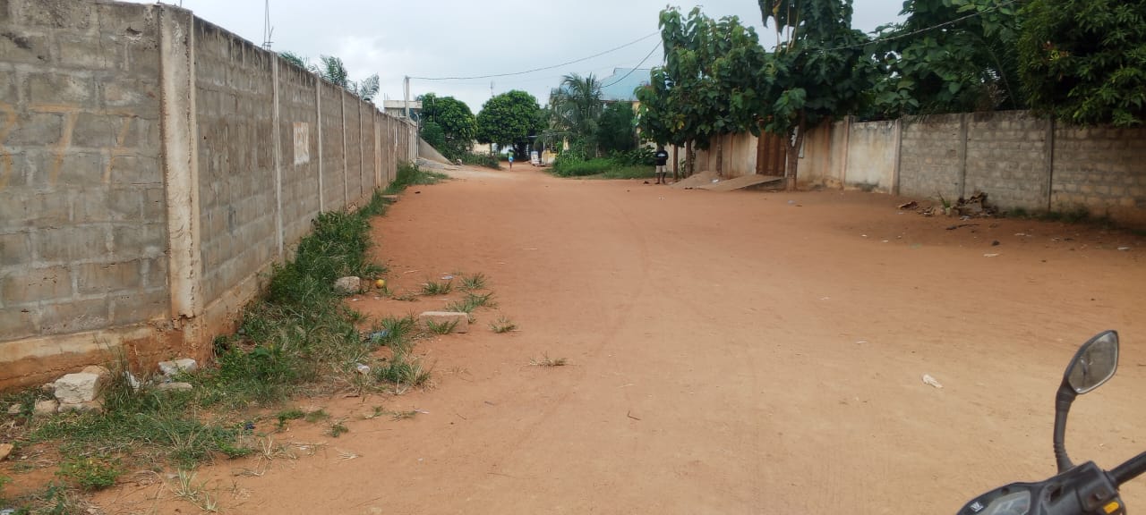 Terrain à vendre à Zanguéra – 30 Millions FCFA