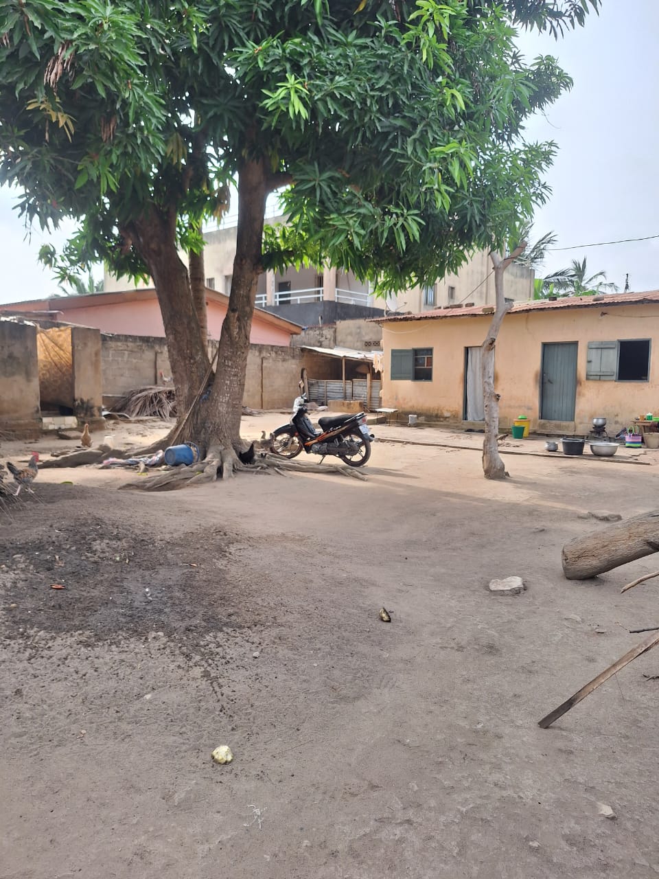 Terrain à vendre à Avénou – 55 Millions FCFA