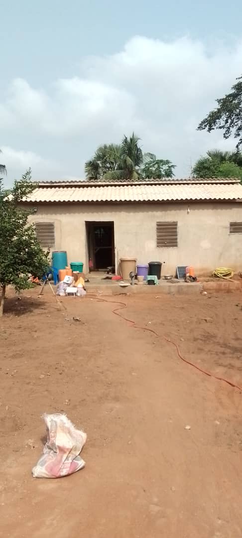 Maison 2 chambres en vente à Djagblé Aveta, proche du goudron – 15 millions FCFA