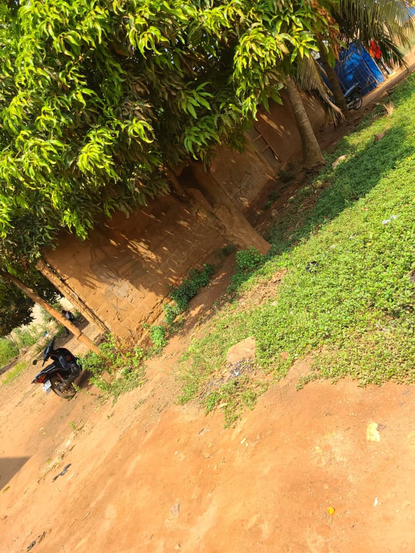 Terrain à vendre à Agoe Kossigan – 65 Millions FCFA