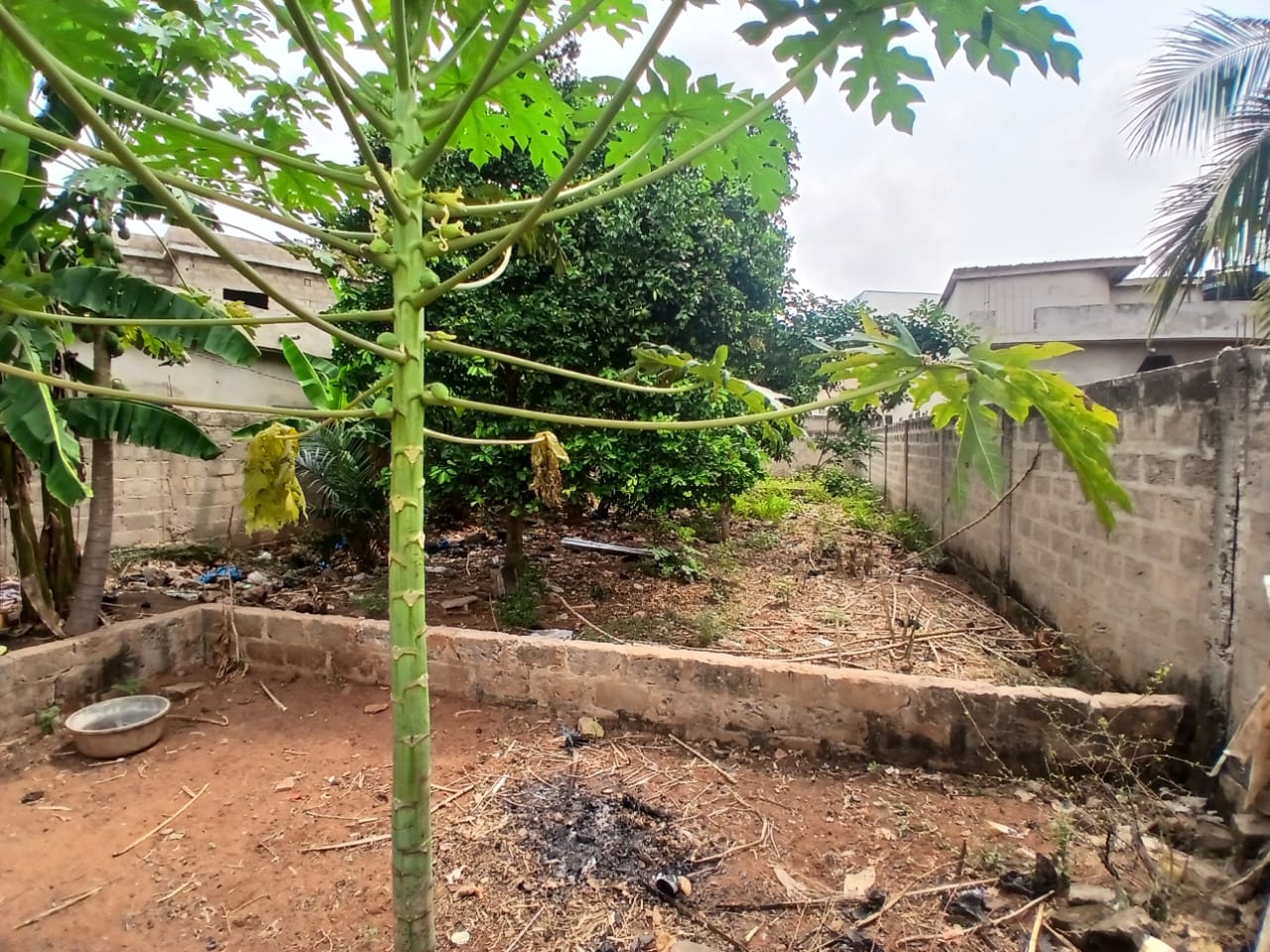 Terrain de 900 m² en vente en angle de rue à Amadahomé - Nanegbe – 16 millions FCFA