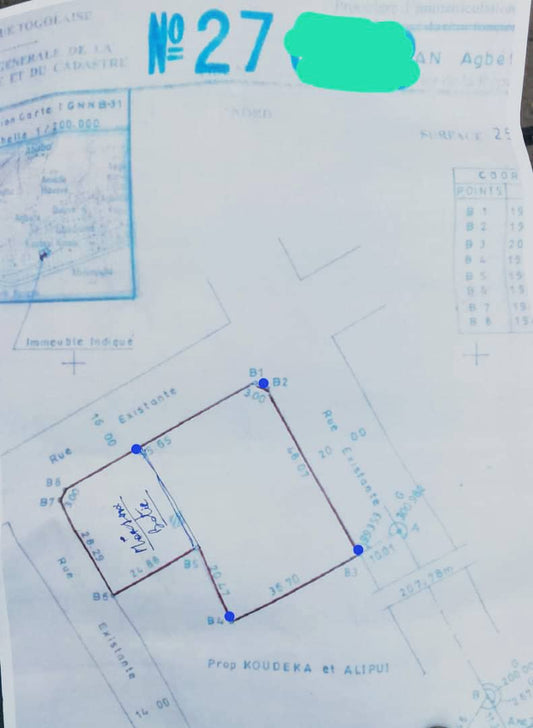 Terrain de 1600 m² en vente à Kpogan Agbetiko – 80 millions FCFA