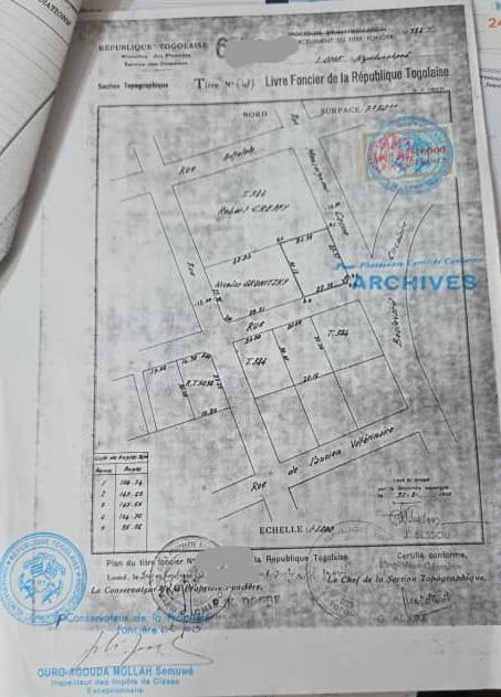 Terrain 1 lot en vente en angle de rue à Nyekonakpoè – 350 millions FCFA