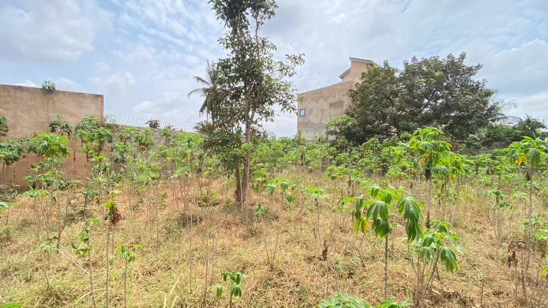 Terrain à vendre à Adidogomé Segbé Akato – 10 Millions FCFA
