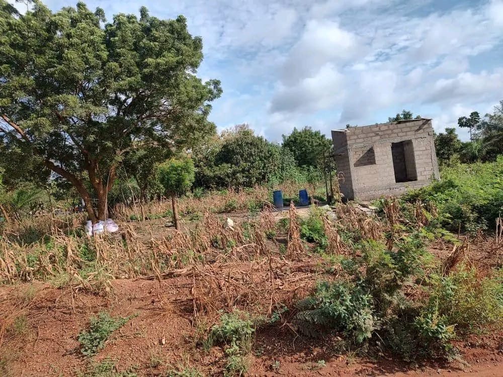 Terrain de 25 hectares en vente à Badja Agoudja – 8 500 000 FCFA l'hectare