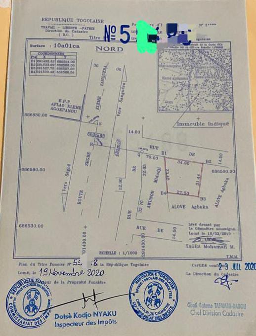 Terrain de 1000 m² en vente à Zanguera Klémé – 11 millions FCFA le demi-lot