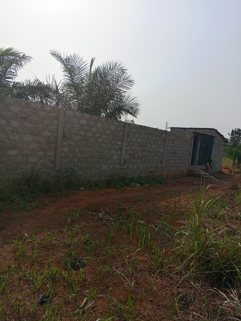 Terrain à vendre à Kpala – 13 Millions FCFA