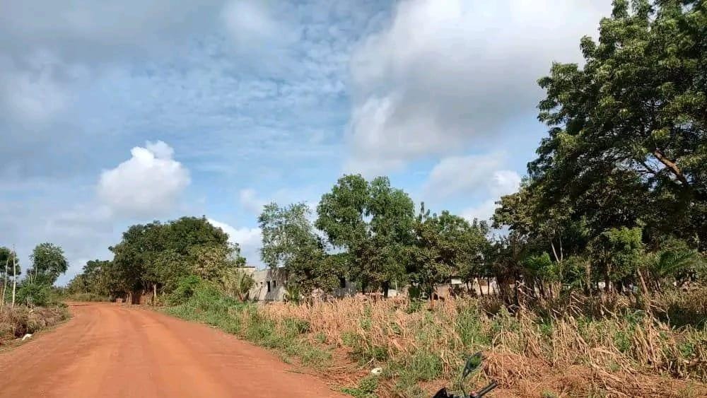 Terrain de 25 hectares en vente à Badja Agoudja – 8 500 000 FCFA l'hectare