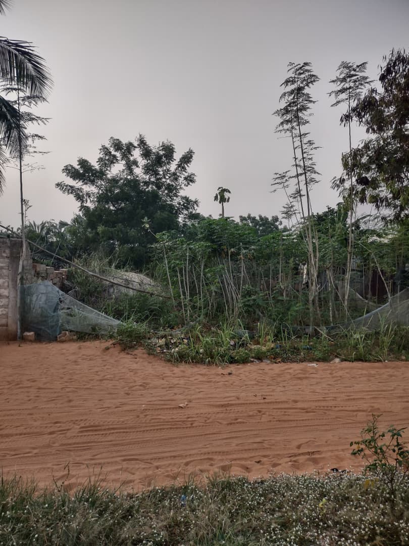 Terrain à vendre à Akato Démé – 7500000 FCFA