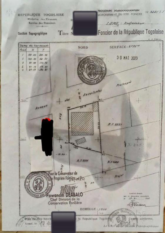 Terrain de 300 m² en vente à Zanguera – 10 millions FCFA
