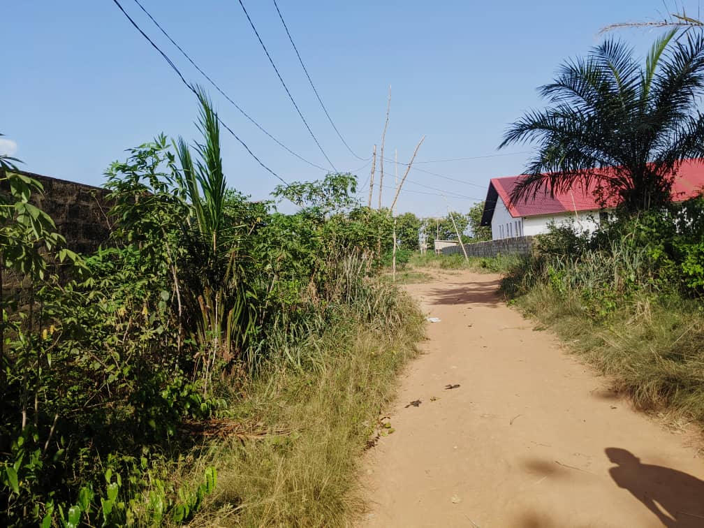 Terrain 1/2 lot en vente à Aképé – 6 millions 500 FCFA