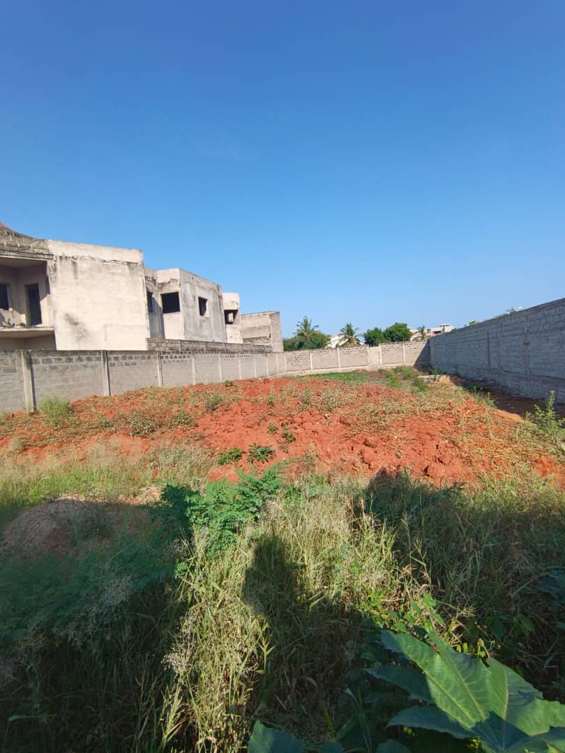 Terrain de 600 m² en vente à Baguida – 45 millions FCFA