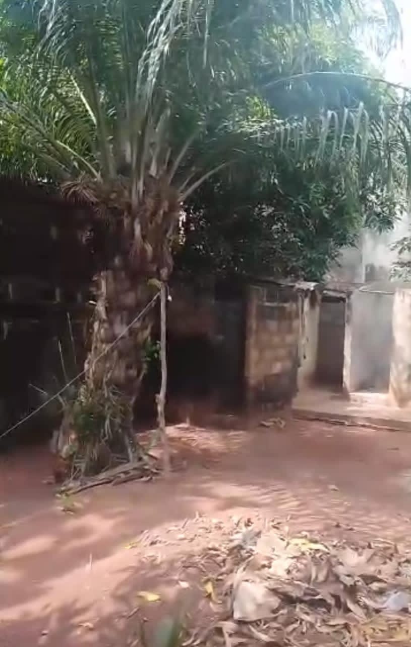 Terrain à vendre à Agoe – 10 Millions FCFA