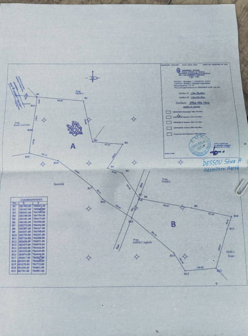 Terrain en vente à Badja – 2 500 000 FCFA l'hectare