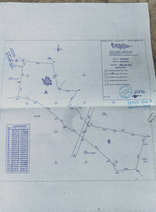 Terrain en vente à Badja – 2 500 000 FCFA l'hectare