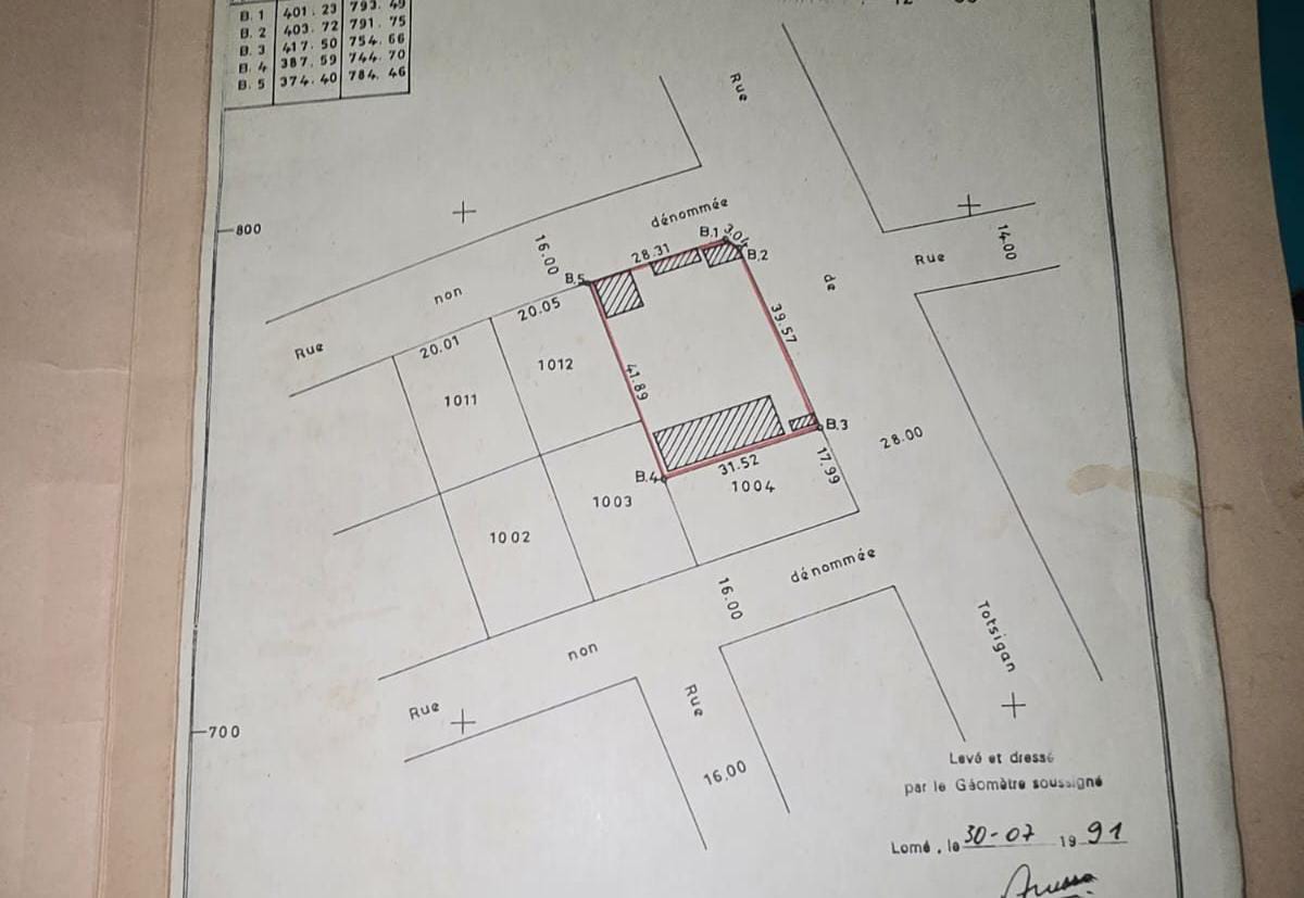 Terrain à vendre à Totsi – 90 Millions FCFA