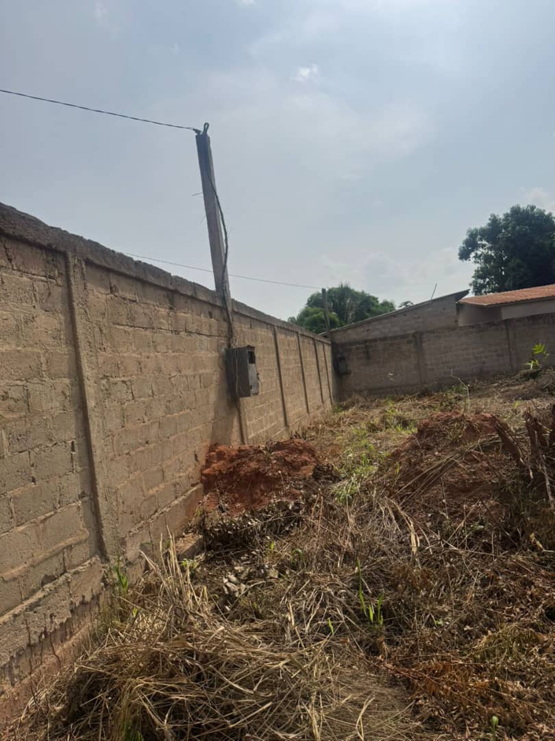 Terrain de 1000 m² en vente à Zanguera – 33 millions FCFA