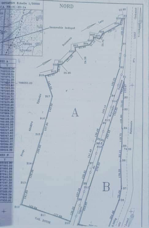 Terrain de 6000 m² en vente à Notsè Agbatsi – 3 millions FCFA l'hectare