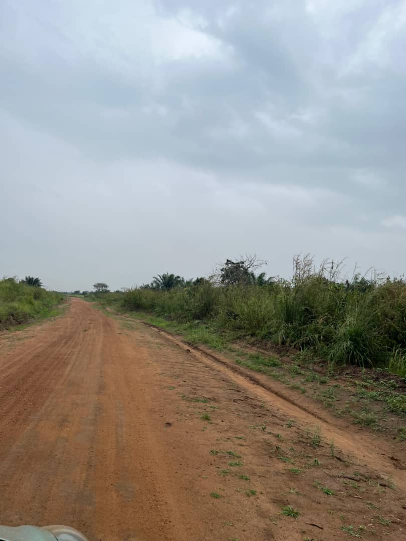 Terrain en vente à Gapé Centre Atigomé Dakui – 1 million FCFA le lot