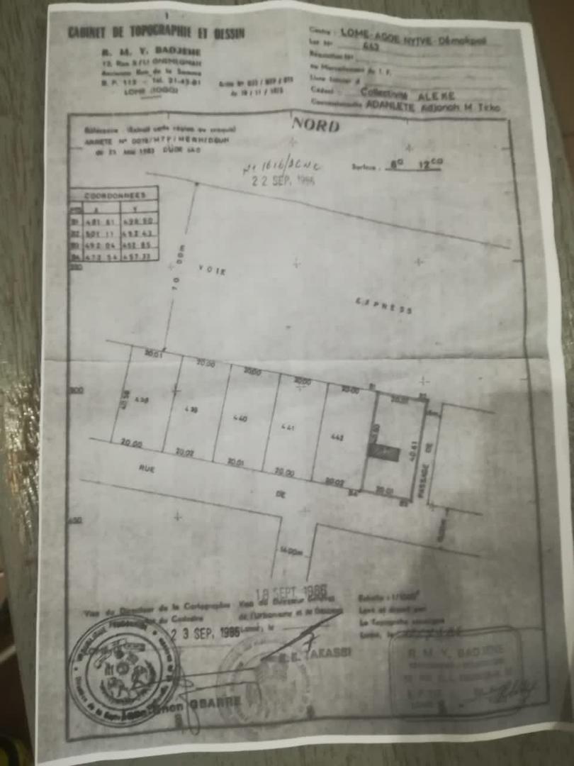 Terrain à vendre en bordure du goudron à Agoè Démakpoé – 130 000 000 FCFA