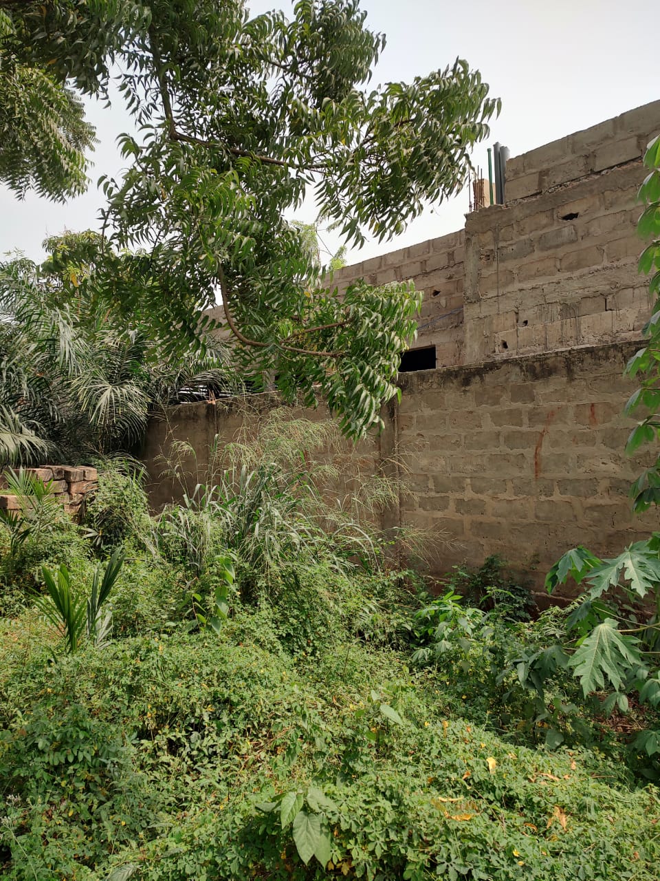Terrain 1 lot en vente à Adidogomé Amadanhomé – 28 millions FCFA