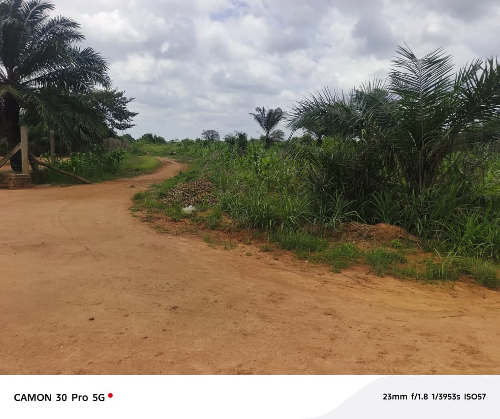 Terrain de 958 hectares 96 ares 57 centiares en vente à Tsévié Gbatopé Hové – 8 millions FCFA l'hectare