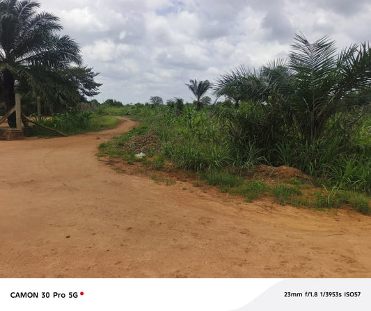 Terrain de 958 hectares 96 ares 57 centiares en vente à Tsévié Gbatopé Hové – 8 millions FCFA l'hectare