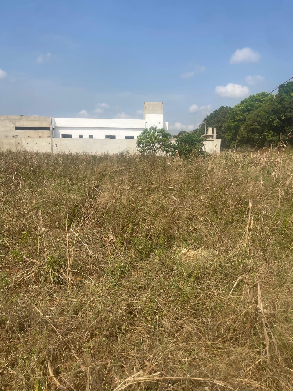 Terrain de 1200 m² en vente en bord du goudron à Aného – Prix à partir de 11 millions FCFA le lot