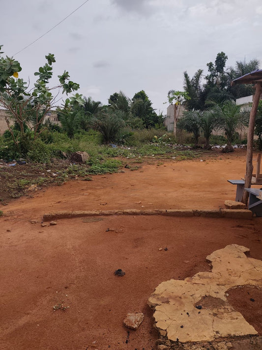 Terrain de 2 lots en vente à Amadahomé – 70 millions FCFA