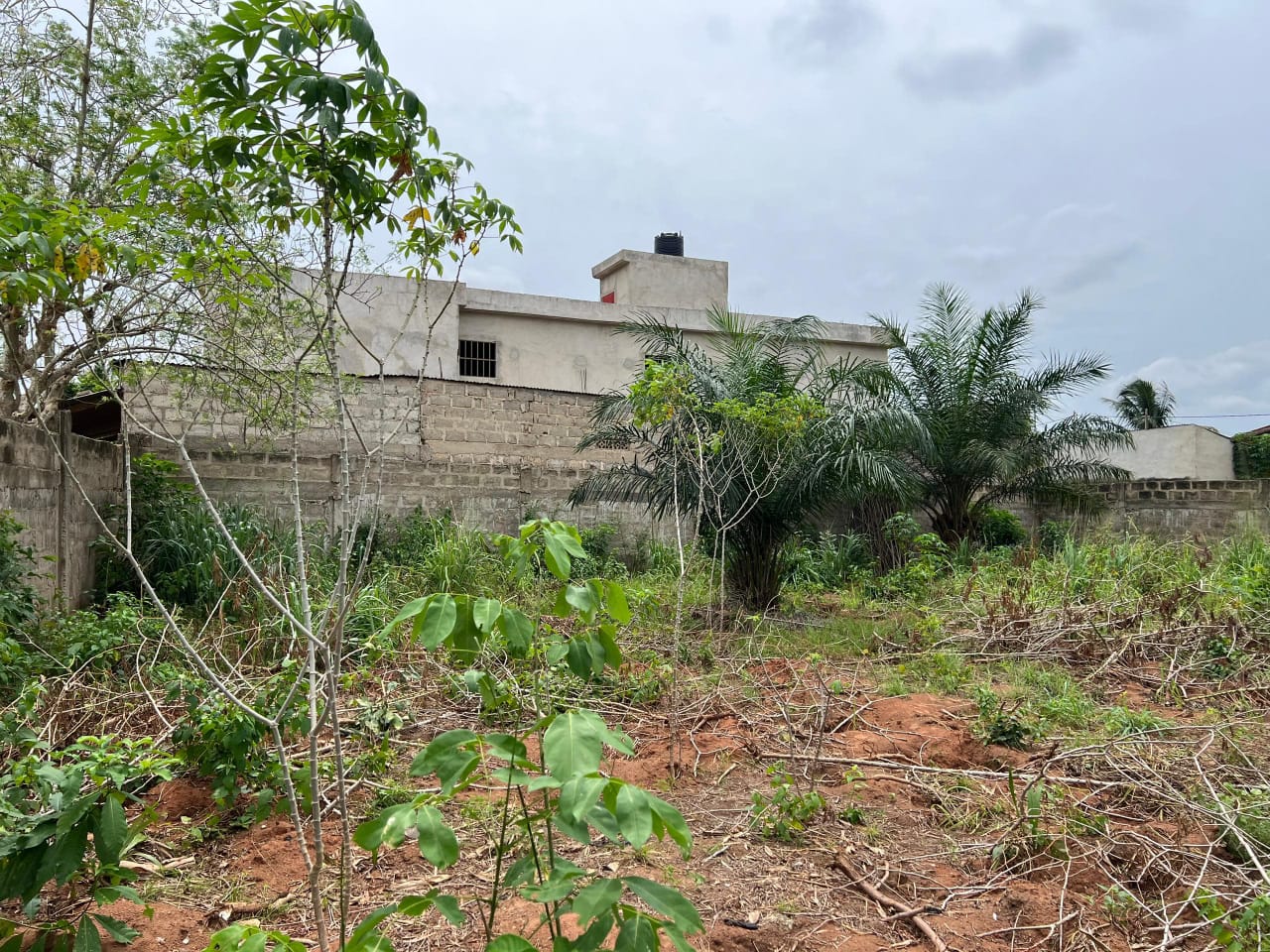 Terrain de moins d'un lot en vente à Sanguera – 23 millions FCFA