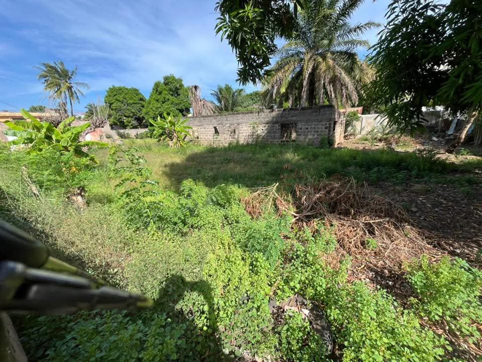 2 lots collés en angle de rues en vente à Tokoin Colombe de la Paix – 85 millions FCFA le lot