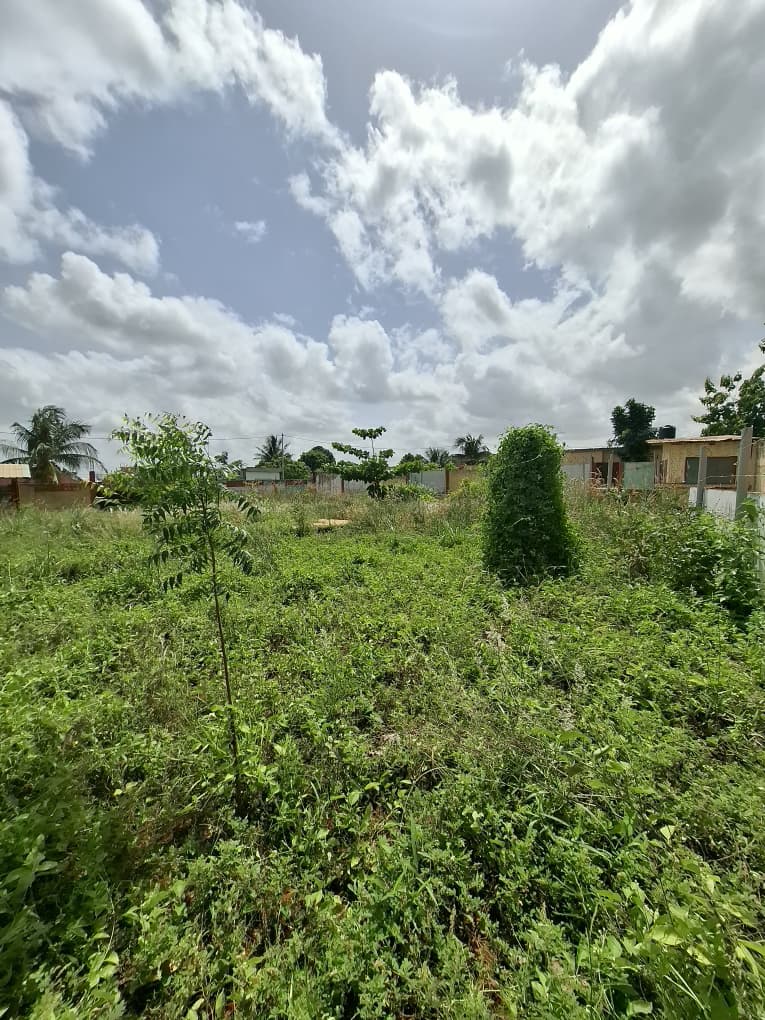 Terrain clôturé en angle de rue en vente à Ségbé Klémé Kpodji – 21.000.000 FCFA