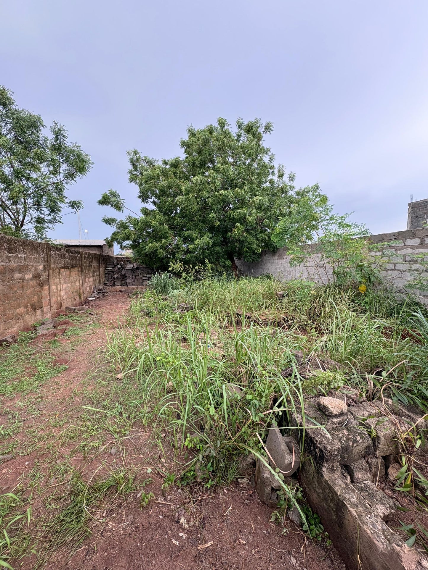 Terrain d'un demi-lot clôturé en vente à Zanguera IPG – 14 millions FCFA