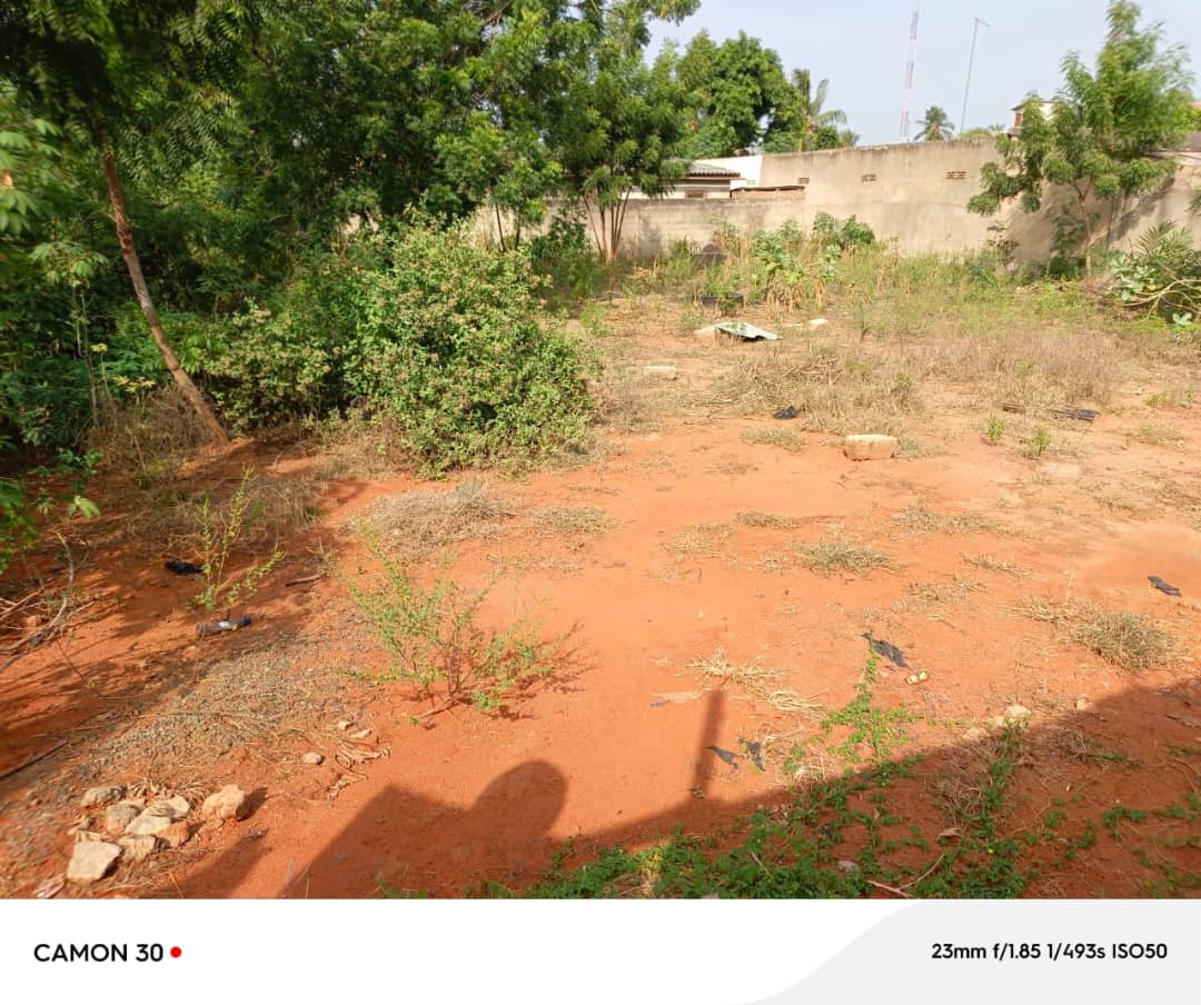 Terrain de 600 m² en vente à Agoè Demakpoè – 26 millions FCFA