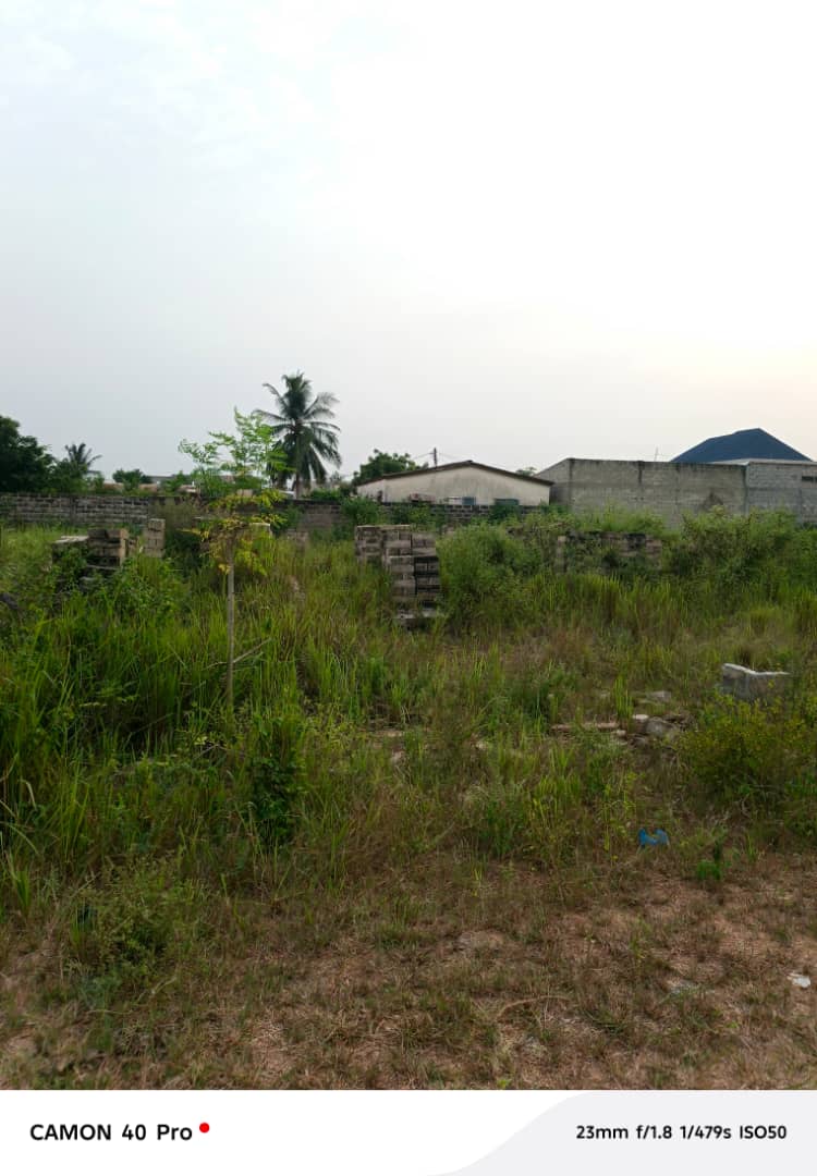 Terrain 1/2 lot en vente à Zanguéra – 10 millions FCFA