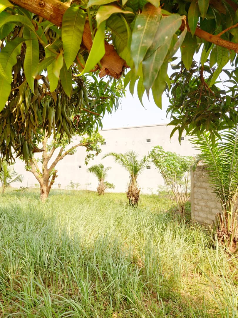 Terrain de 150 m² en vente à Légbassito face marché – 9 millions FCFA