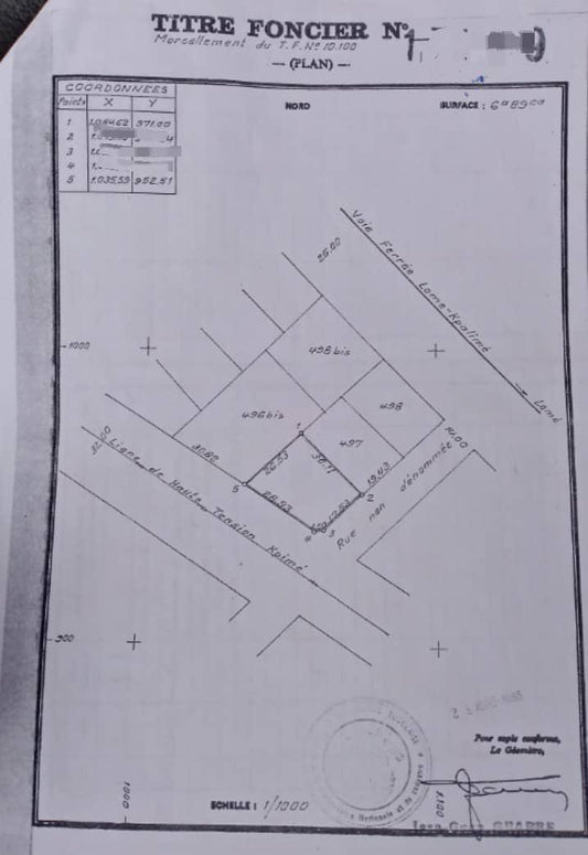 Terrain à vendre à Avenou Adjinamoto – 80 millions FCFA