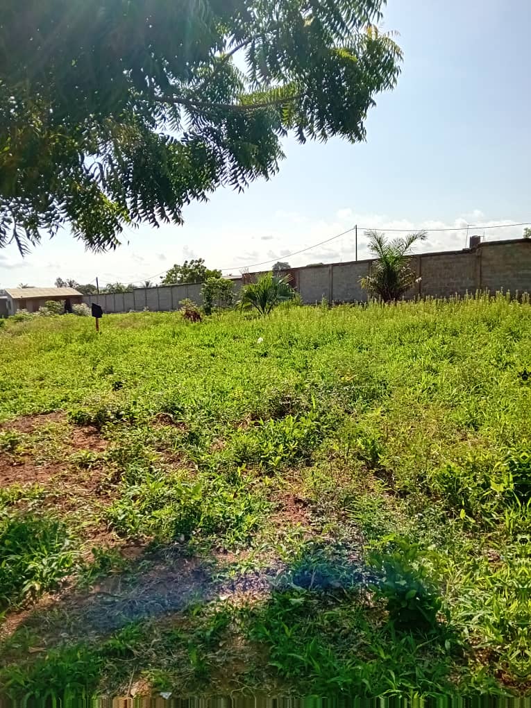 Terrain en vente à Djagblé Kleme – 35 millions FCFA le lot