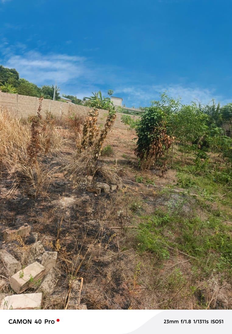 Terrain de 1 lot en vente à Zanguera Digbé – 17 millions FCFA