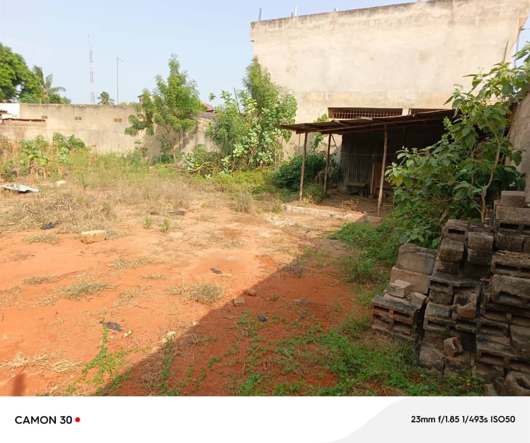 Terrain de 600 m² en vente à Agoè Demakpoè – 26 millions FCFA