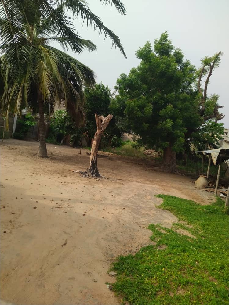 Terrain de 800 m² en vente à Agbalepedo – 70 millions FCFA