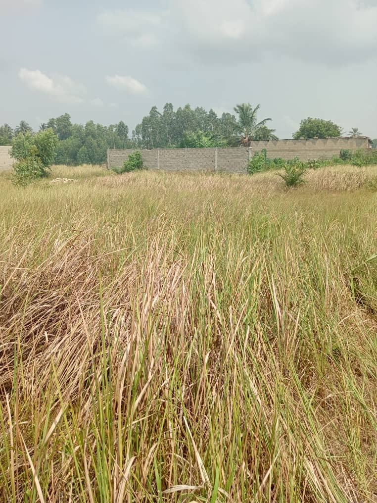 Terrain ¾ de lot en vente à Agovoudou – 2,7 millions FCFA