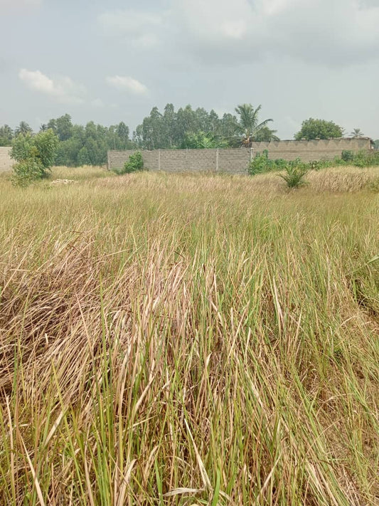 Terrain ¾ de lot en vente à Agovoudou – 2,7 millions FCFA