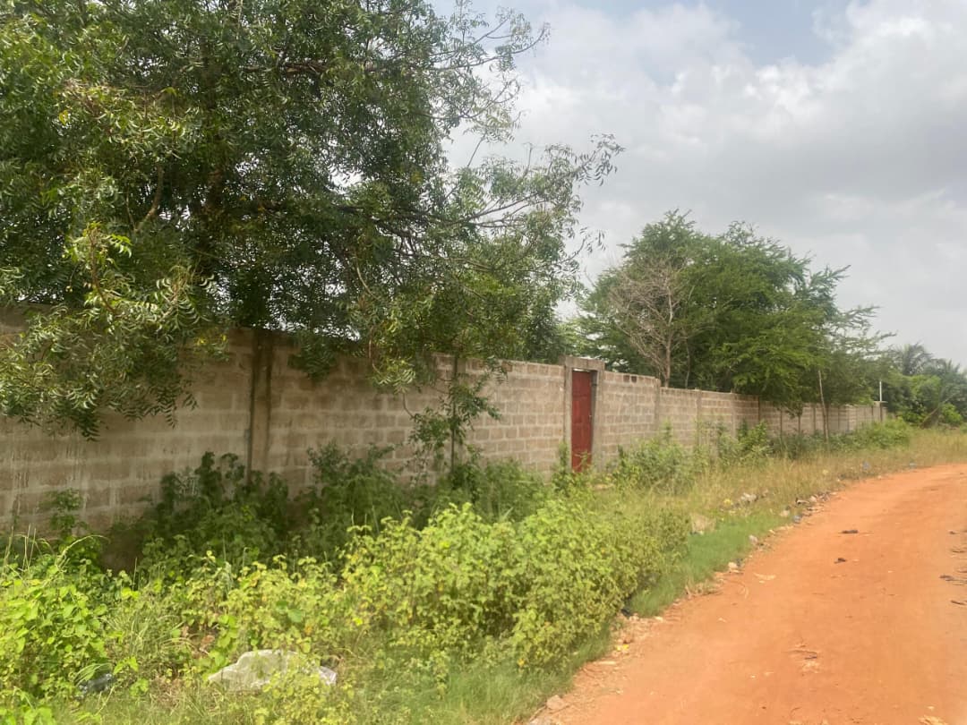 3 lots en vente à Akato Viepe – 18 millions FCFA le lot