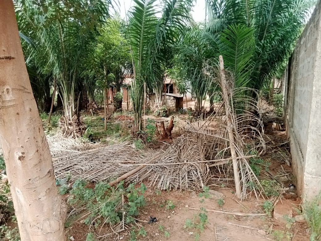 Terrain 1 lot en vente à Lankouvi – 26 millions FCFA