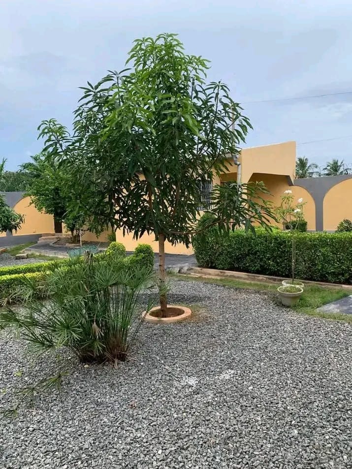Mini villa sur lot plein de 600 m² à vendre à SEGBE – 35 millions FCFA