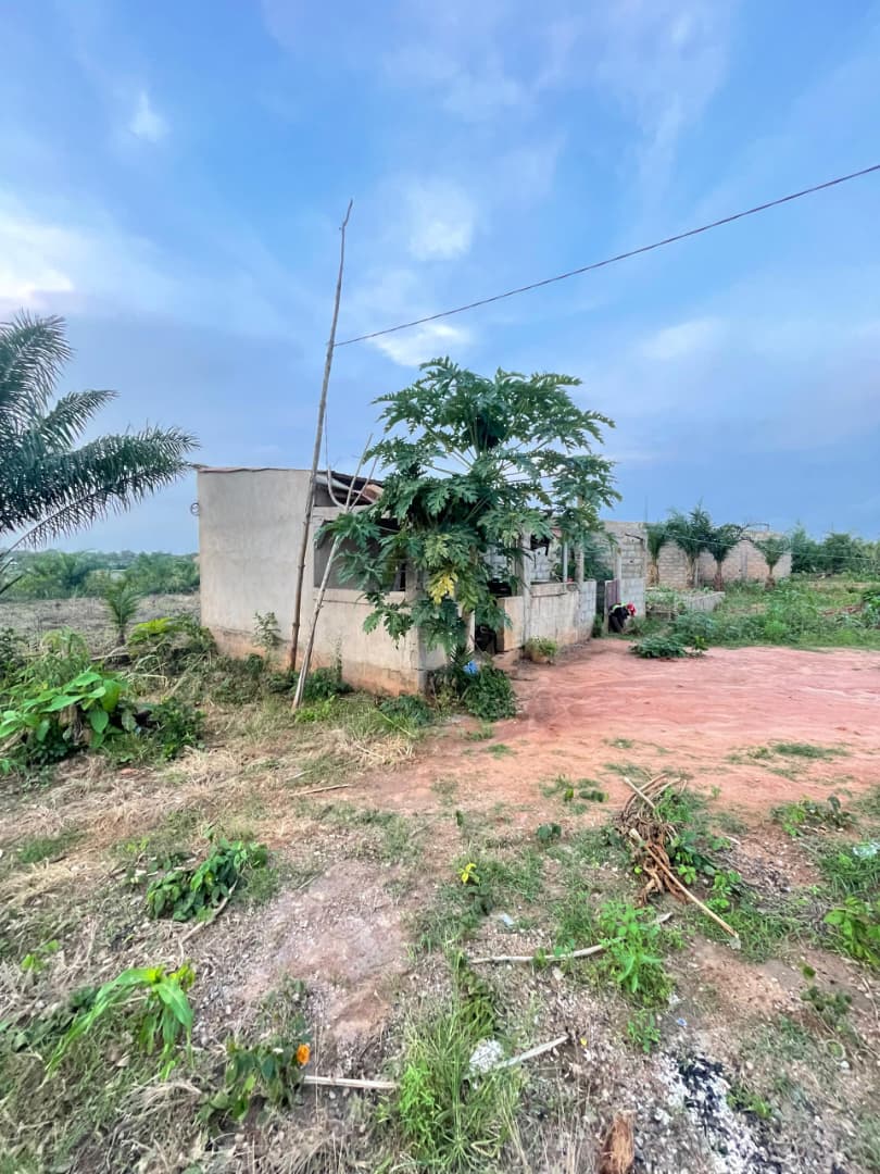 Terrain de 300 m² en vente à Noépé – 6.500.000 FCFA