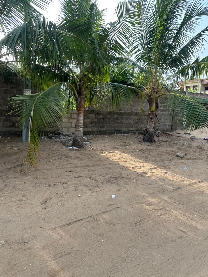 Terrain de 1500 m² en vente à Baguida – 50 millions FCFA le lot