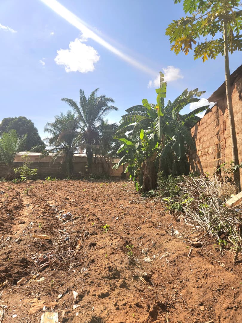 Terrain de 983 m² en vente en bordure de voie de 30 m à Sogbossito Somayaf – 35 000 000 FCFA