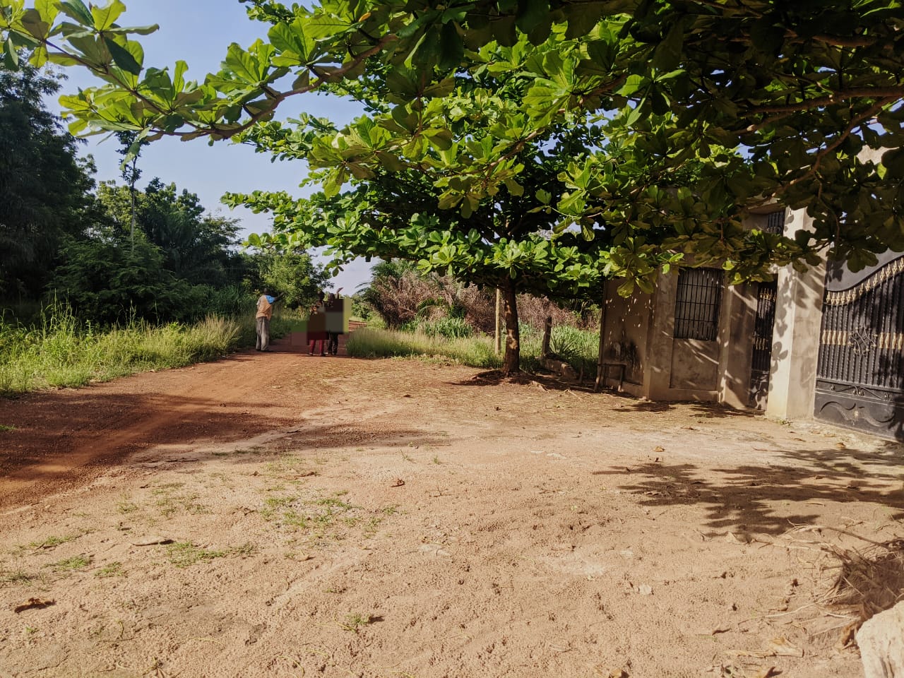 Terrain de 600 m² en vente à Kévé – 3.5 millions FCFA le lot